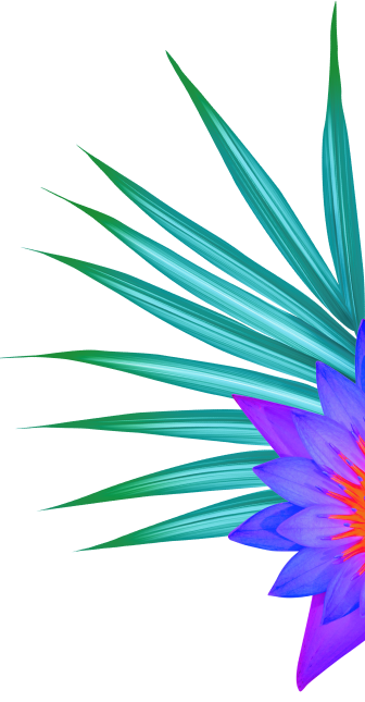 ws-flowers